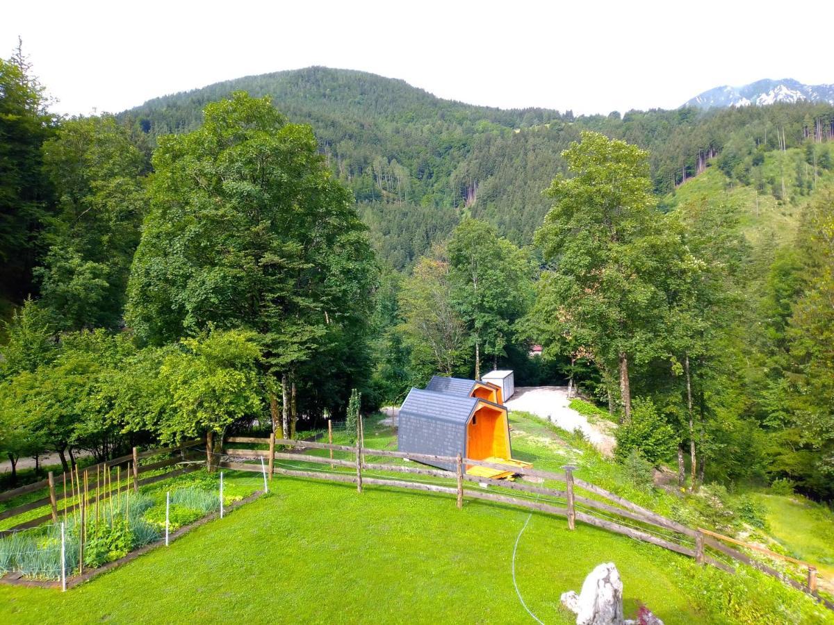 פרדבור Camping & Glamping Grintovec מראה חיצוני תמונה