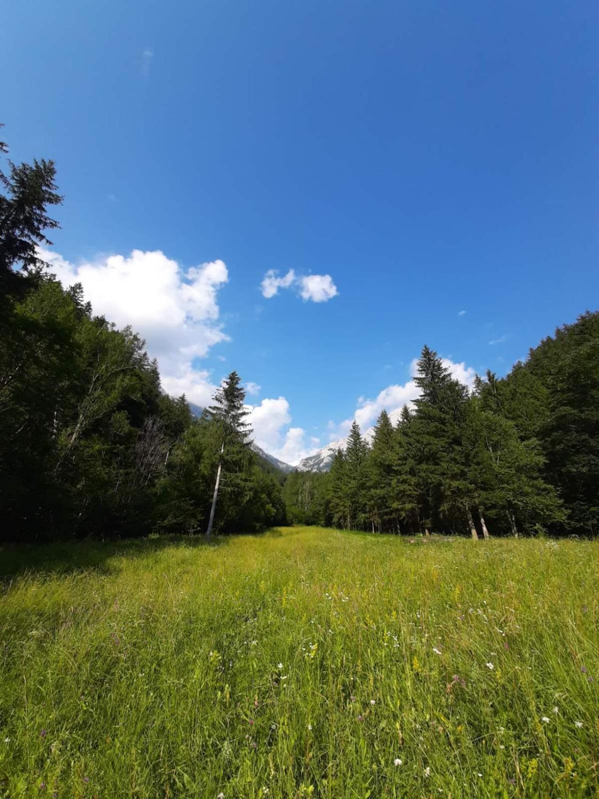 פרדבור Camping & Glamping Grintovec מראה חיצוני תמונה